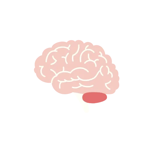 Brain Icon