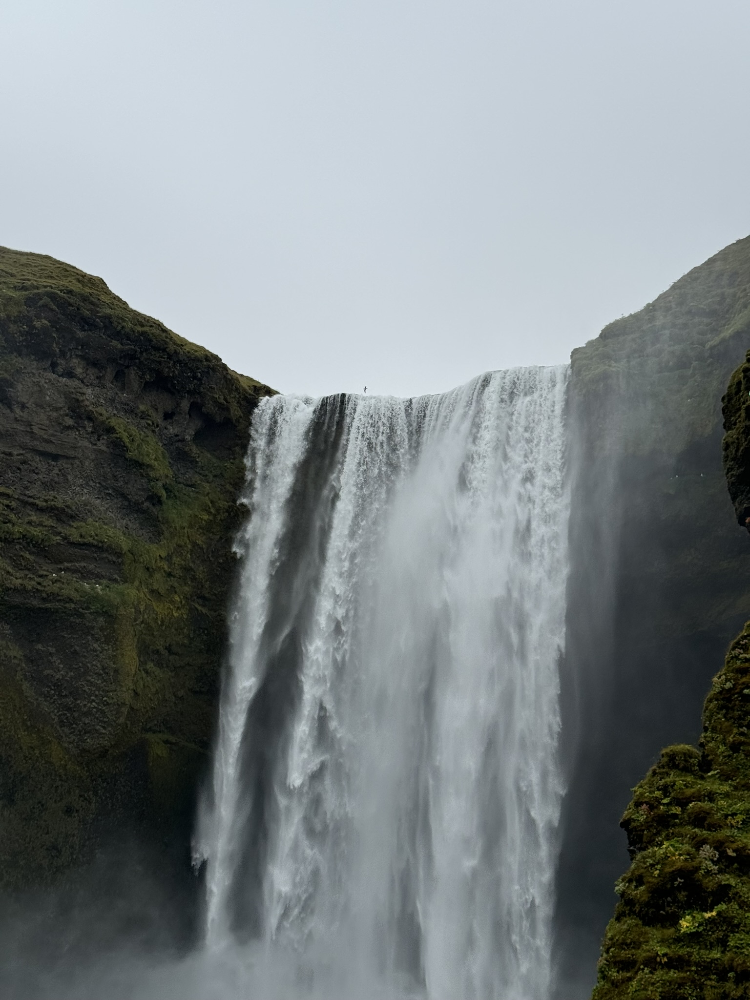 Waterfall view with a bird flying.